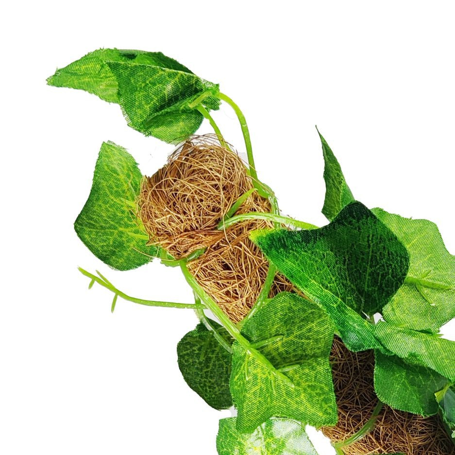 Green Artificial Money Plant Leave With Coconut Stick