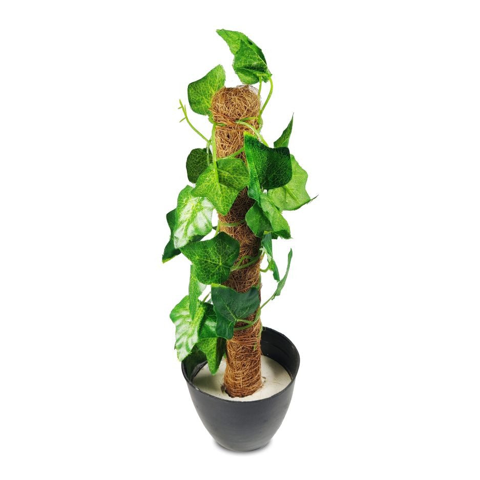 Green artificial money plant with realistic leaves, mounted on a natural coconut stick. Perfect for adding a touch of greenery to your home or office decor with low maintenance and lasting appeal.