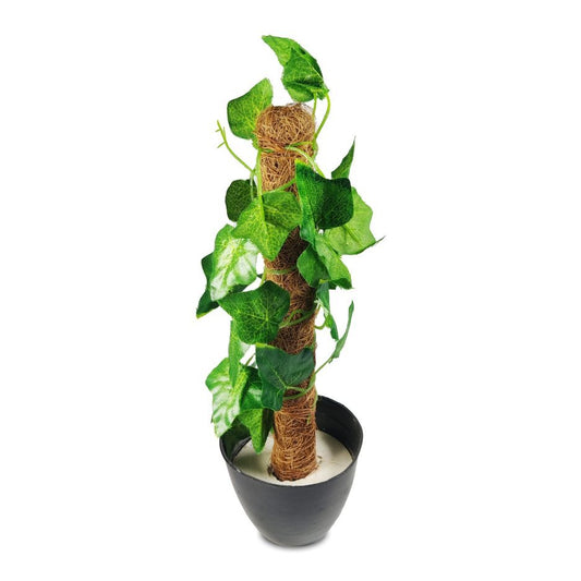 Green artificial money plant with realistic leaves, mounted on a natural coconut stick. Perfect for adding a touch of greenery to your home or office decor with low maintenance and lasting appeal.