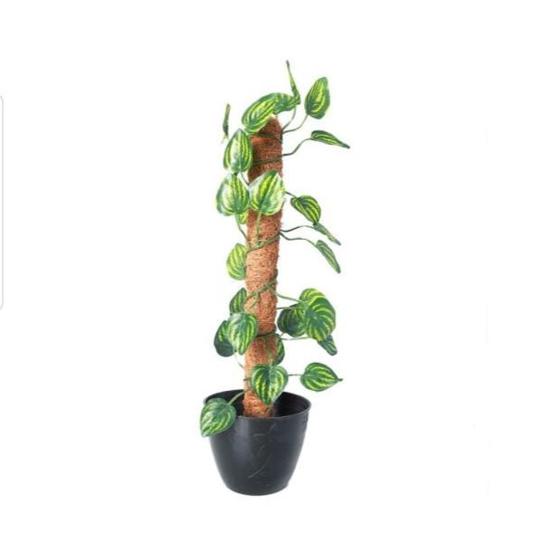 Green Artificial Money Plant Leave With Coconut Stick