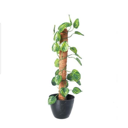 Green Artificial Money Plant Leave With Coconut Stick