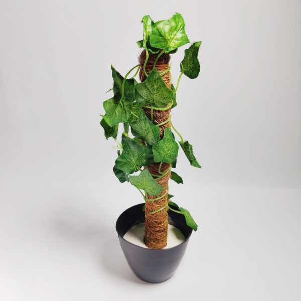 Green Artificial Money Plant Leave With Coconut Stick