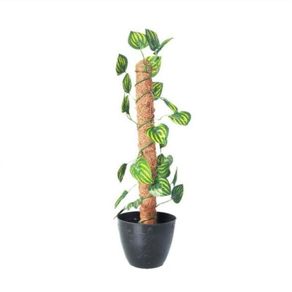 Green Artificial Money Plant Leave With Coconut Stick